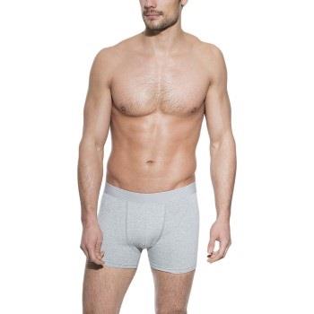 Bread and Boxers Boxer Brief Kalsonger Grå ekologisk bomull X-Large He...