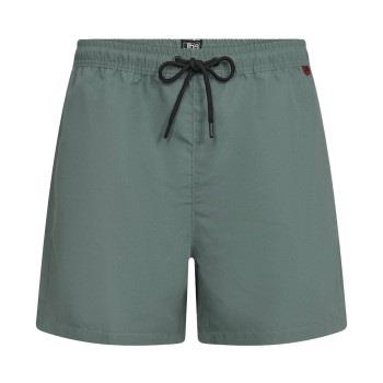 JBS Badbyxor Recycled Basic Swim Shorts Grön polyester Small Herr