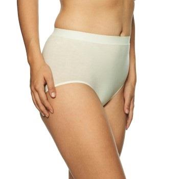 Lady Avenue Trosor Bamboo Midi Brief Benvit Bambu Small Dam