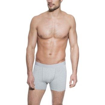 Bread and Boxers Boxer Brief Kalsonger 3P Grå ekologisk bomull X-Small...