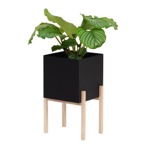 Design House Stockholm - Botanic Kruka 30×35×40 cm