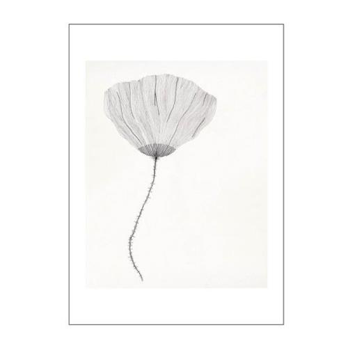 Poster & Frame - The Poster Club x Ana Frois poster 50x70 cm poppy