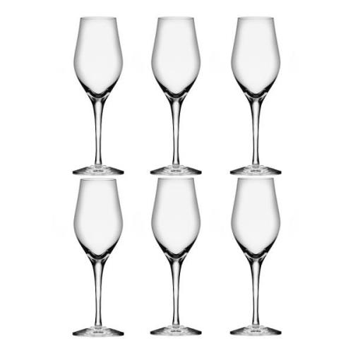 Orrefors - Sense Champagneglas 25,5 cl 6-pack