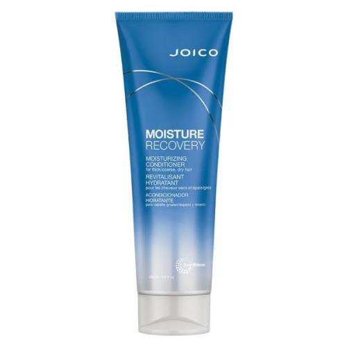 Joico Moisture Recovery Moisturizing Conditioner 250 ml