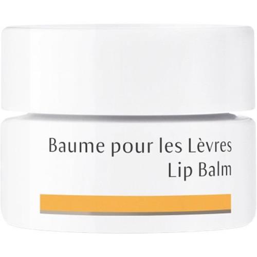 Dr. Hauschka Lipbalm 4.5 ml