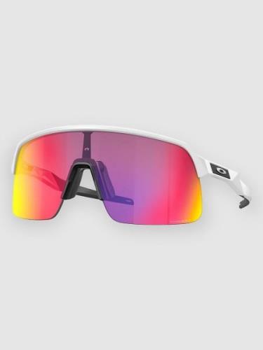 Oakley Sutro Lite Matte White Solglasögon prizm road