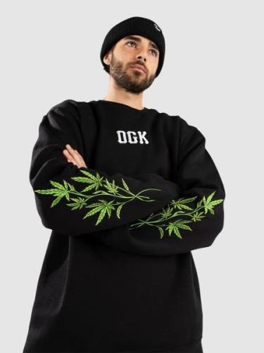 DGK Lay Low Tröja black