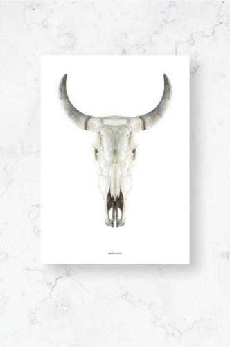 Malerifabrikken - Poster / Cow skull / Plano - Vit - Posters - Från Ho...