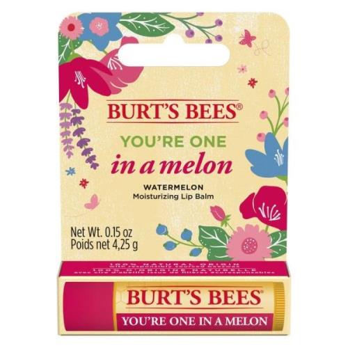 Burt's Bees You´re One In A Melon Lip Balm 4,25 g
