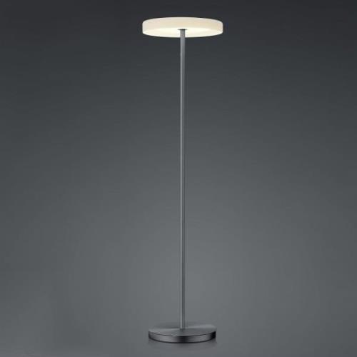 BANKAMP Button LED-golvlampa med batteri antracit