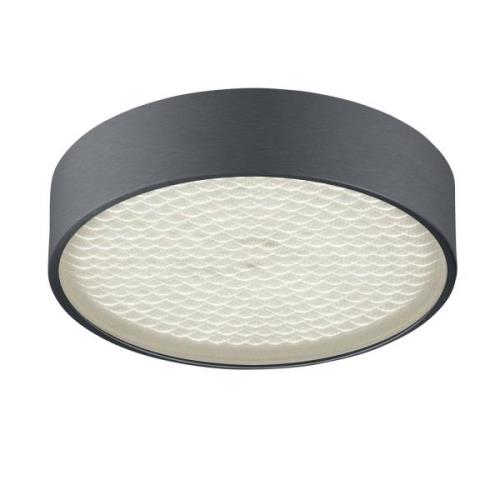 BANKAMP Drum LED-taklampa, antracit matt