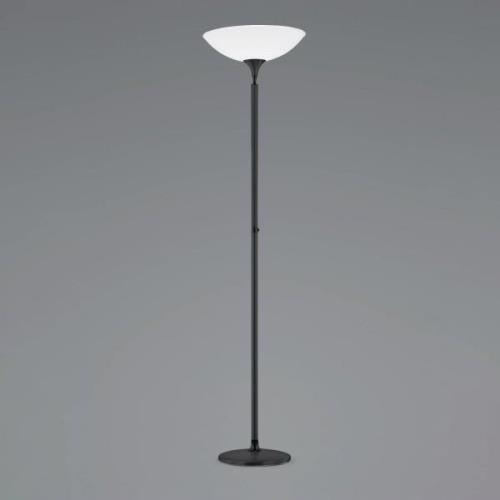 BANKAMP Opera LED-uplight-golvlampa, svart