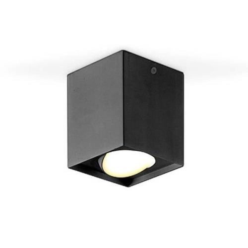 EVN Kardanus LED-taklampa, 9x9cm, svart