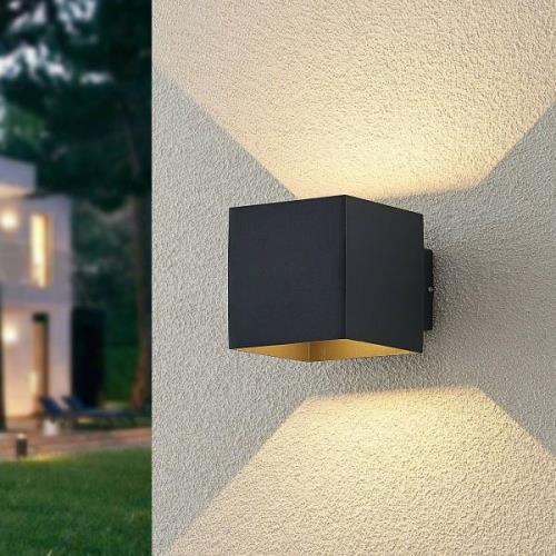 ELC Esani LED-utomhusvägglampa, antracit