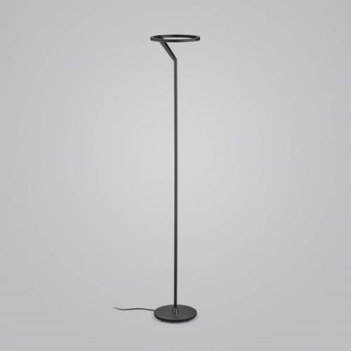 Helestra Elara LED-golvlampa down dimbar svart