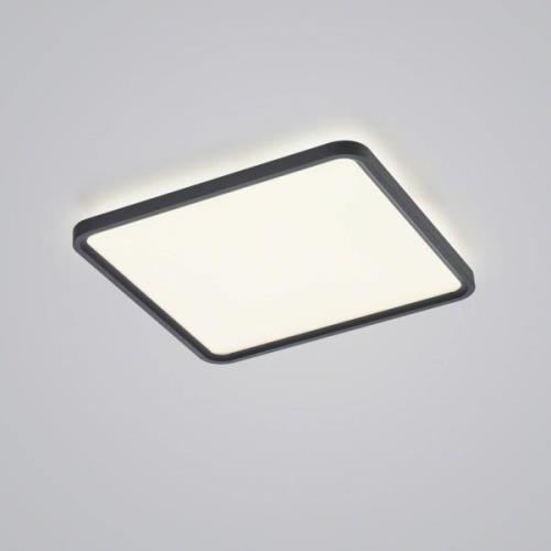 Helestra Vesp LED-panel backlight 61x61cm svart