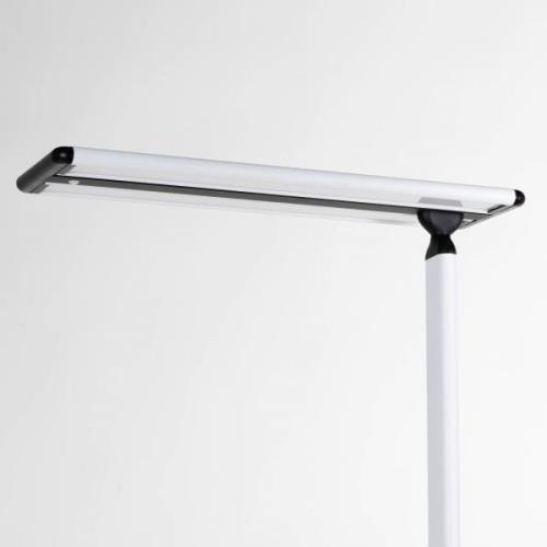 Prios Zyair LED-golvlampa för kontor, vit 59,7 cm