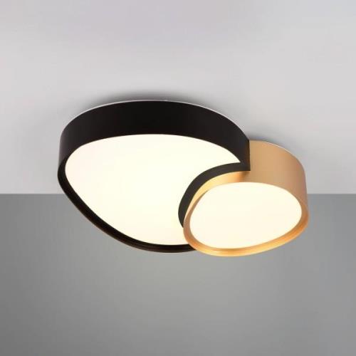 Trio Lighting LED-taklampa Rise, svart-guld, 43 x 36 cm, CCT, dimbar