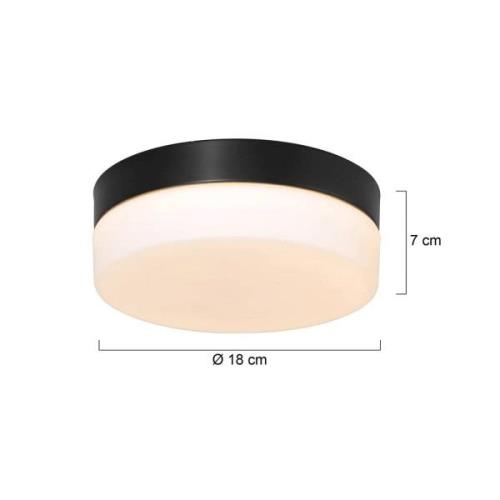 Steinhauer LED-taklampa Ikaro svart, Ø 18 cm, metall, plast