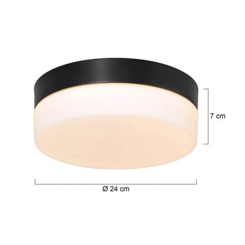 Steinhauer LED-taklampa Ikaro svart, Ø 24 cm, metall, plast