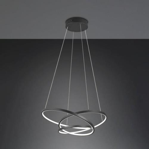 Trio Lighting Hänglampa Darvin längd 64 cm svart matt metall CCT