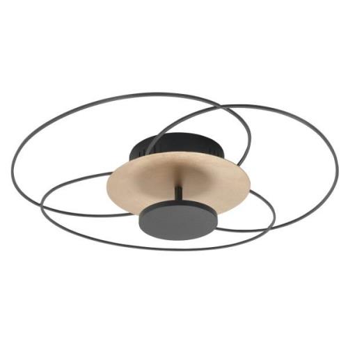 HighLight LED-taklampa Fiore, 2 700 K, svart/guld