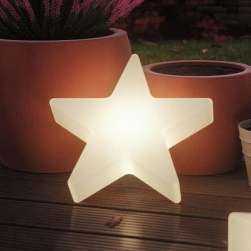 Paulmann Plug & Shine LED dekorationsbelysning Star Ø 40cm