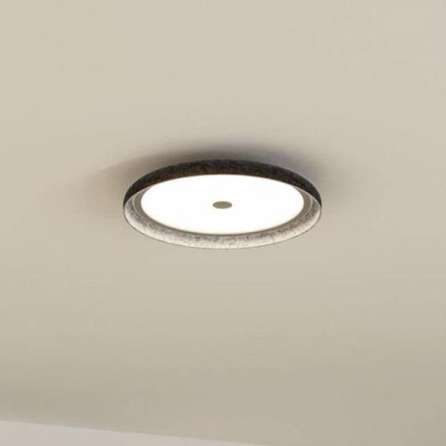 Paulmann LED-taklampa Zarina, antracit, filt, 3-stegs-dim