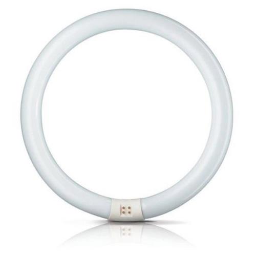 Philips G10q 32W 865 lysrörsring Master Circular TL-E