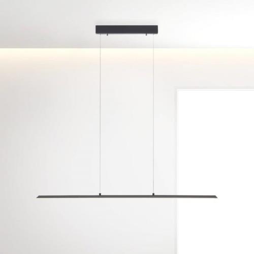 PURE LED hänglampa Lite, antracit, 100 cm, CCT, dimbar