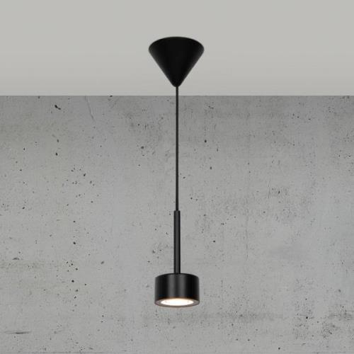 Nordlux Clyde LED-pendellampa, med en lampa, dimbar