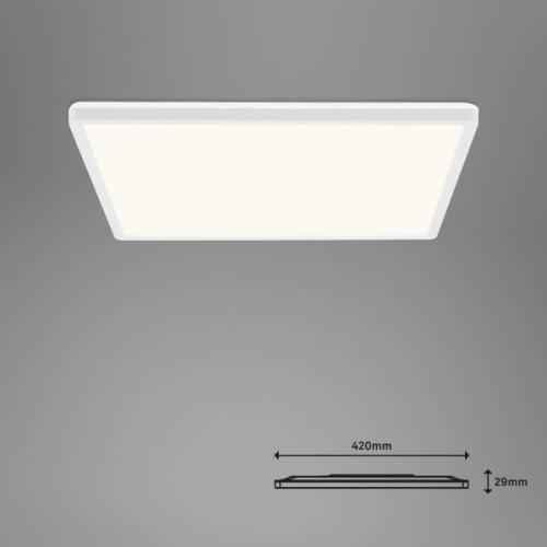 Briloner LED-taklampa Slim S dimbar CCT vit 42x42cm