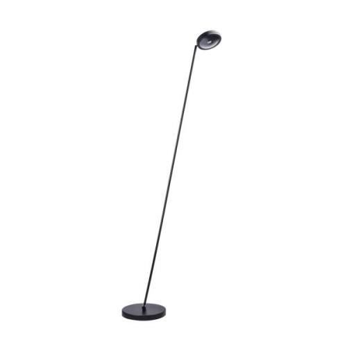 Megatron Ottica Stando LED-golvlampa, svart