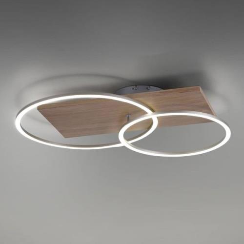 Paul Neuhaus Palma LED-taklampa CCT 2 ringar