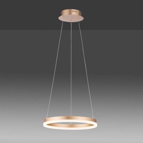 Paul Neuhaus LED-hänglampa Titus, Ø 40 cm, mässing matt