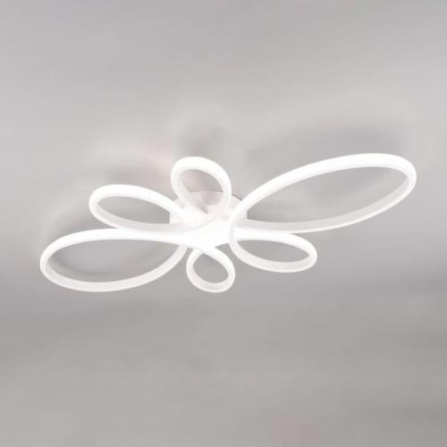 Trio Lighting Fly LED-taklampa, matt vit, 4.000 K, 83 cm x 45 cm