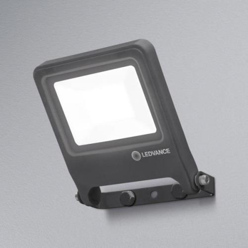 LEDVANCE Endura Floodlight utomhus LED-spot 20W