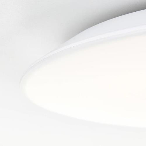 Brilliant Colden LED-taklampa för badrum, vit, tänd/släck, Ø 29 cm