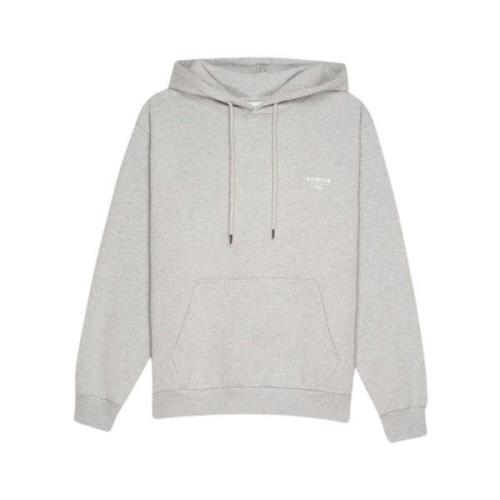 Avnier Hoodies Gray, Herr