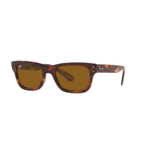 Ray-Ban Brun Acetat Solglasögon Brown, Herr