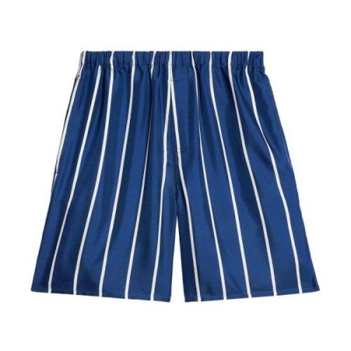 Ami Paris Blå Silke Stripe Print Shorts Blue, Herr