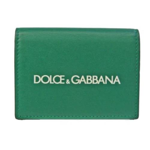 Dolce & Gabbana Pre-owned Pre-owned Laeder plnbcker Green, Dam