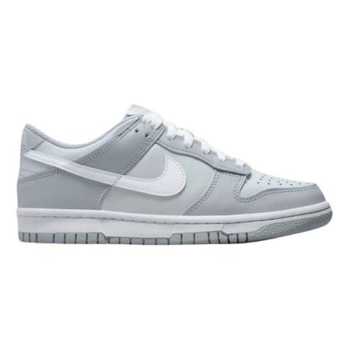 Nike Begränsad Upplaga Tvåton Grå Sneakers Gray, Dam