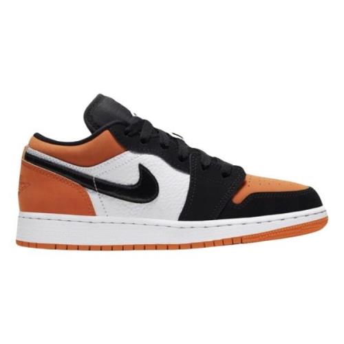 Nike Begränsad upplaga Air Jordan 1 Low Multicolor, Herr