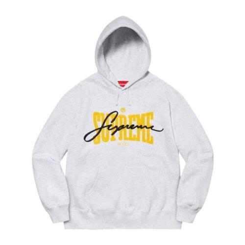 Supreme Broderad Chenille Hoodie Gray, Herr