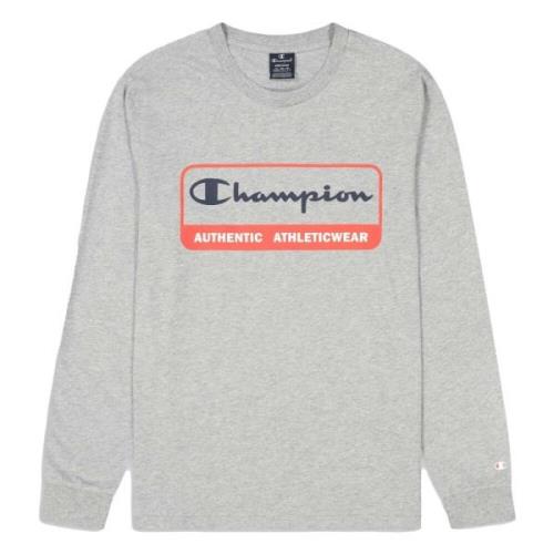 Champion Hoodie Gray, Herr