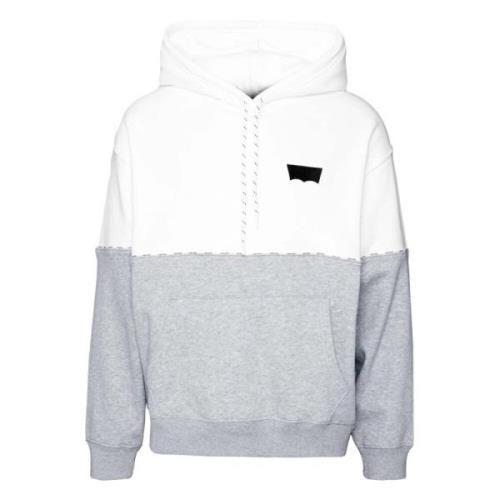 Levi's Avslappnad Grafisk Hoodie Multicolor, Herr