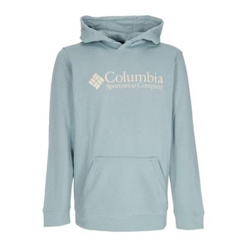 Columbia Basic Logo Hoodie Stone Blue Blue, Herr