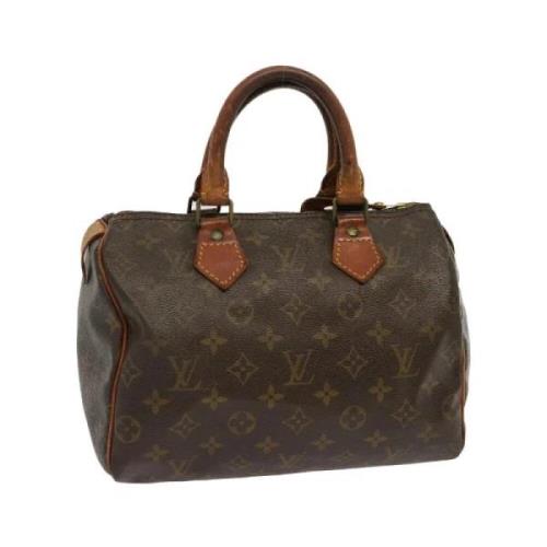 Louis Vuitton Vintage Pre-owned Canvas handvskor Brown, Dam