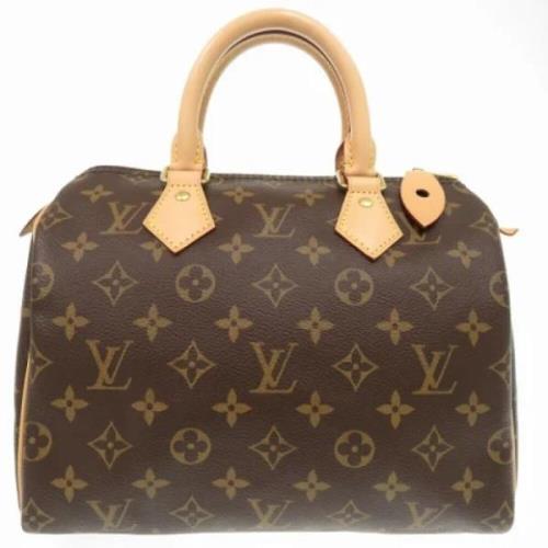 Louis Vuitton Vintage Pre-owned Tyg louis-vuitton-vskor Brown, Dam